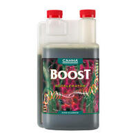 Canna Boost Accelerator - 1L