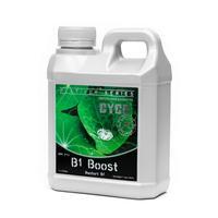 Cyco Platinum Series B1 Boost - 1L