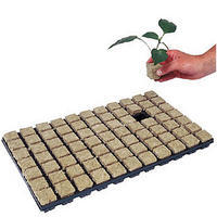 GRODAN SBS ROCKWOOL GROW CUBES - 36MM | 77 CUBES 