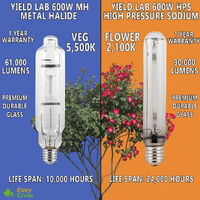 Luxx Lighting 600W Hps Globe