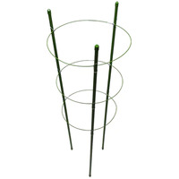 Flower Stakes - 45cm